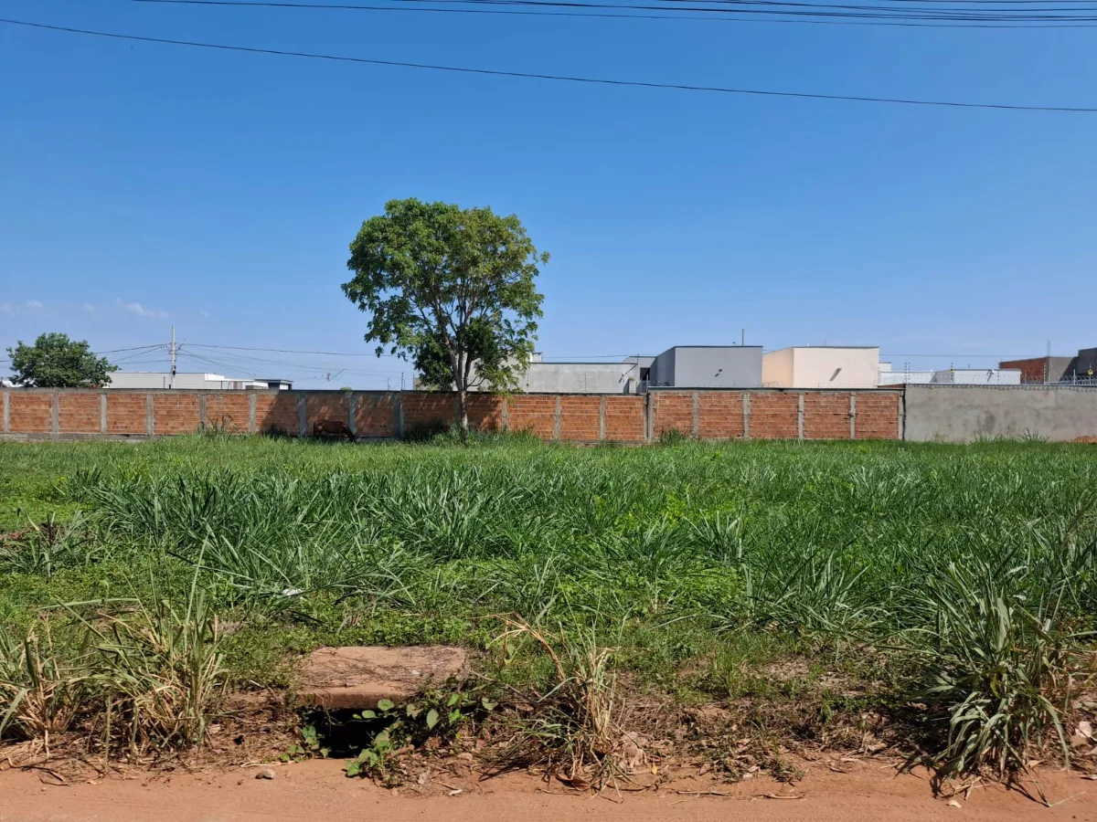 Terreno comercial — foto 7