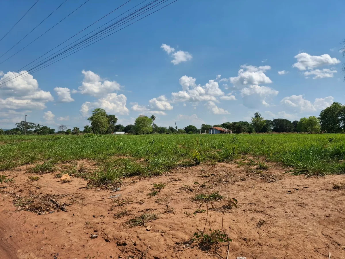 Terrenos Tancredo Neves  — foto 6