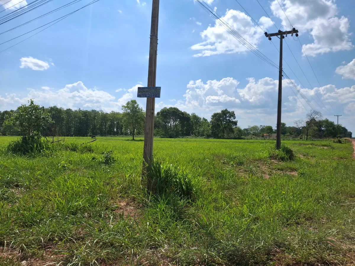 Terrenos Tancredo Neves  — foto 8