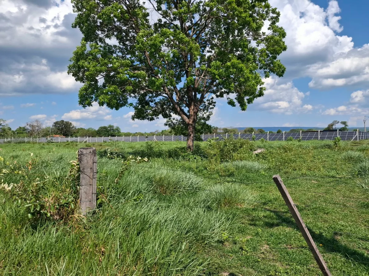 Terreno para usinas solar — foto 6